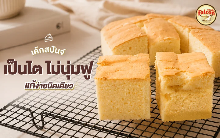 เค้กสปัจน์เป็นไต ไม่นุ่มฟู แก้ง่ายนิดเดียว